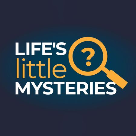 Life's Little Mysteries logo